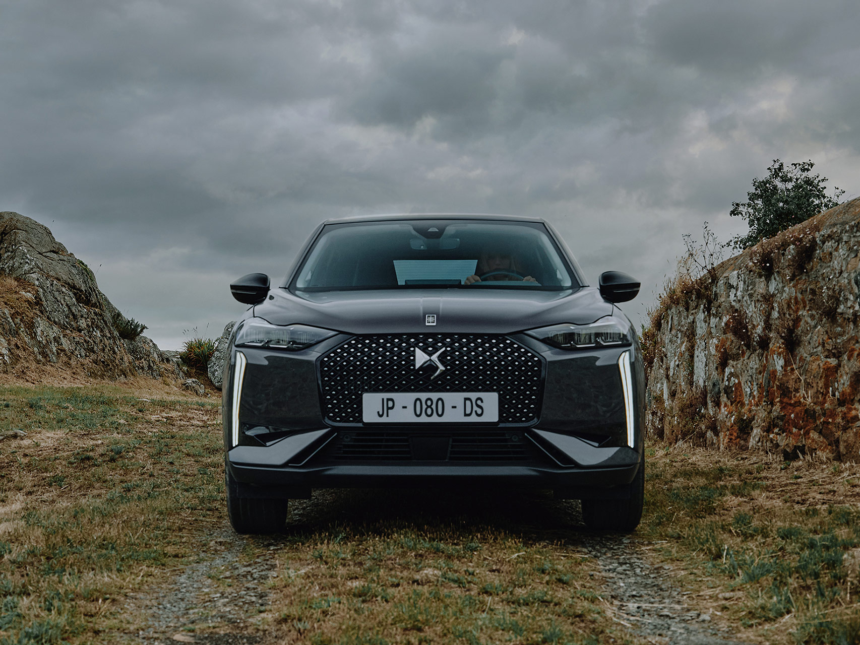 Grille de calandre DS 3