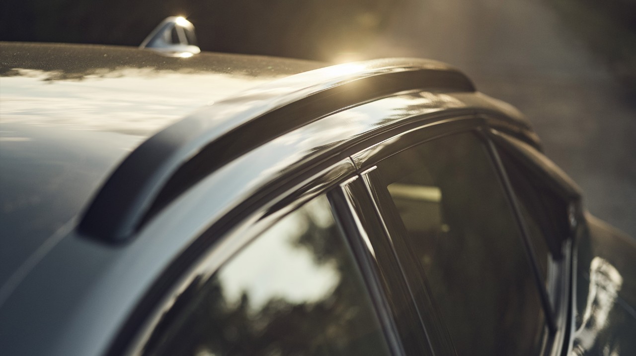 Barre sul tetto della DS 4 CROSS